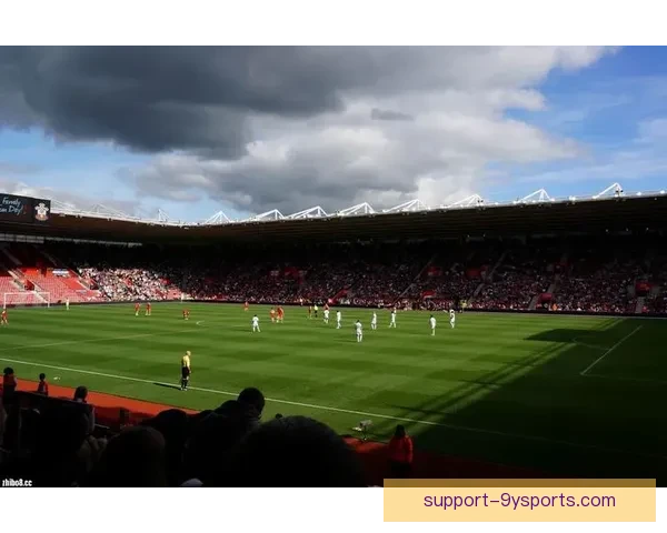 南安普顿俱乐部百年沉浮与英超逐梦传奇再起航的荣耀与挑战历程全景纪实