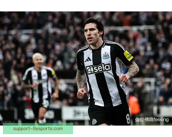 纽卡斯尔联俱乐部最新动态与赛季前景深度解析报道走向何方探讨