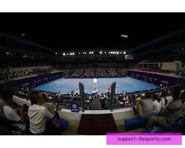 聚焦国际网坛风云变幻新星崛起与名将对决精彩瞬间七大赛事全面解析