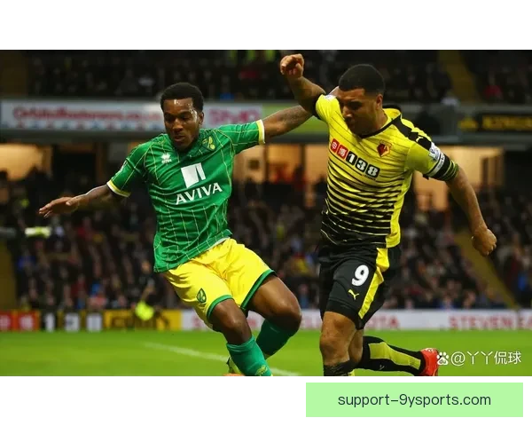 诺维奇俱乐部冬窗引援布局与保级形势全面解析报道最新动态深度