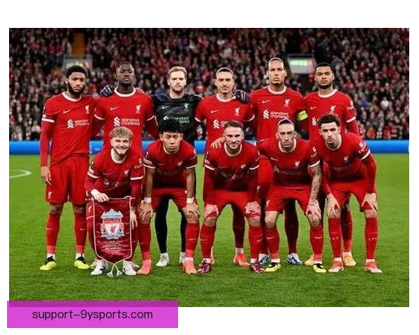 布伦特福德足球俱乐部崛起之路：从英冠到英超的精彩旅程