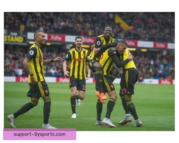 沃特福德俱乐部最新动态揭示球队阵容调整与未来发展规划