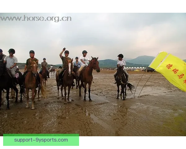 网球赛季最新动态聚焦顶尖球员精彩对决与赛场风云